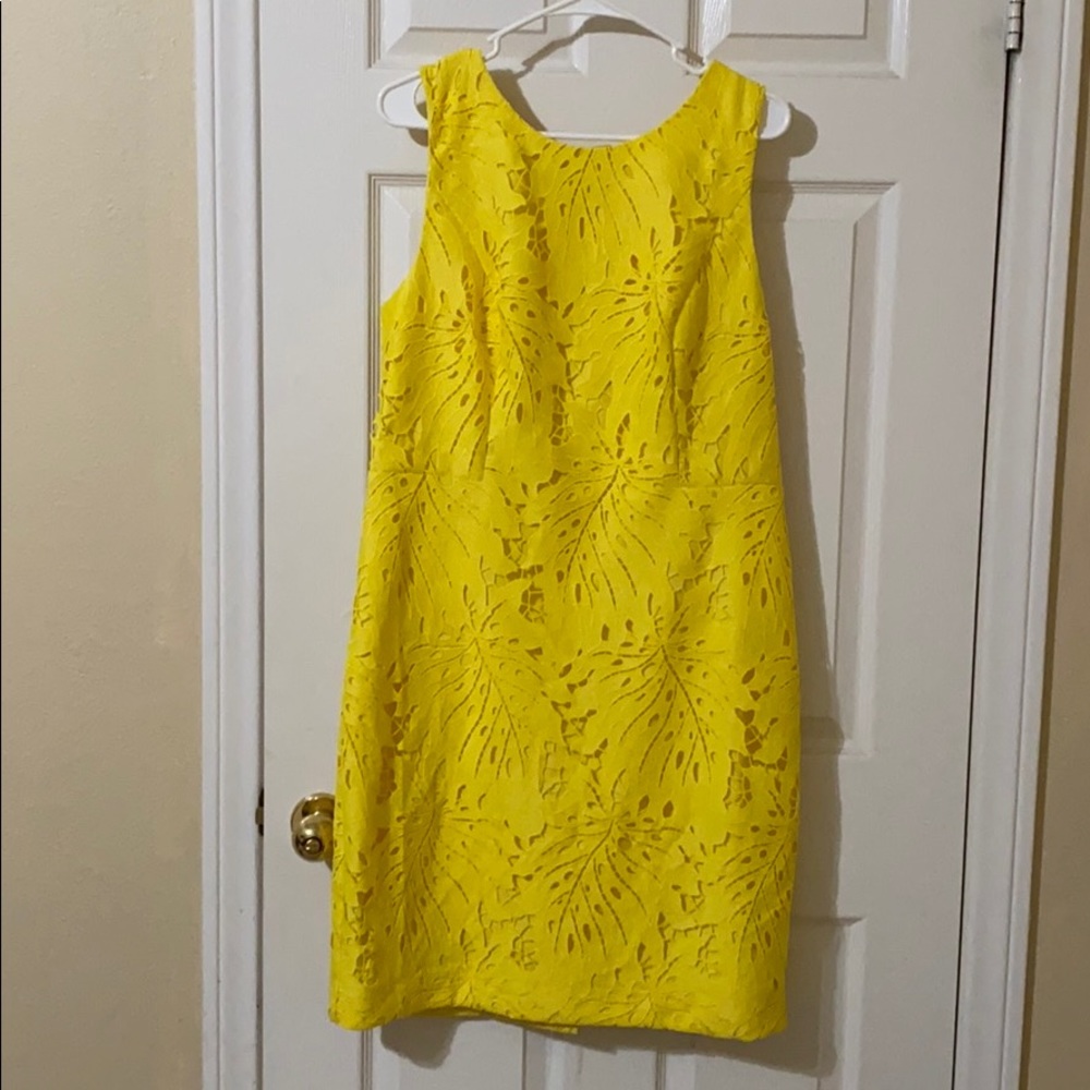 Lace Sheath dress